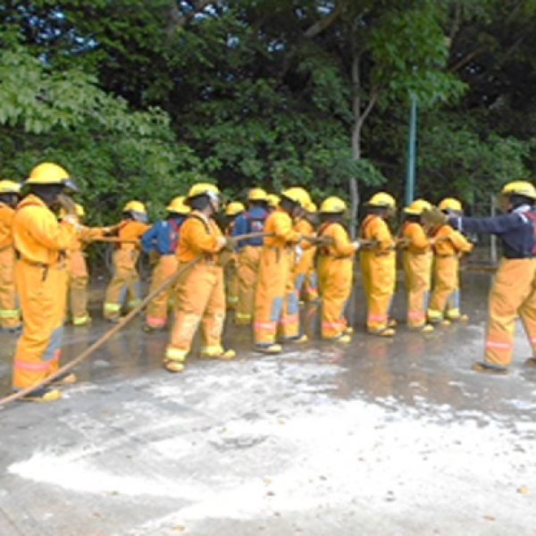 Proyecto 2 Contrato 648229833