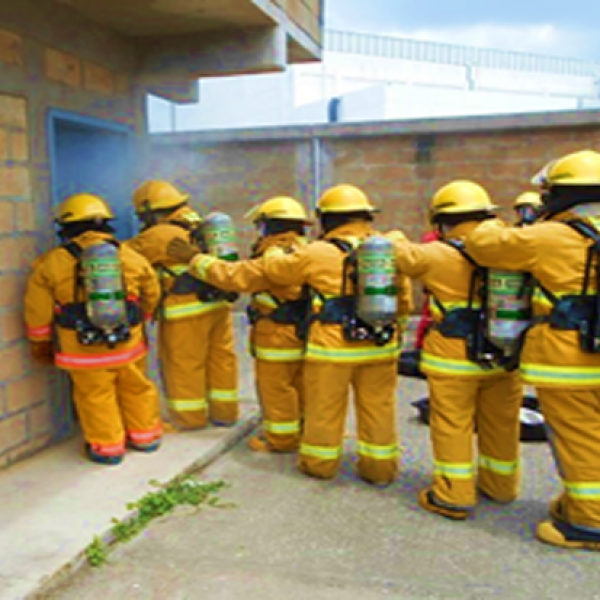 Proyecto Empresa Antolín